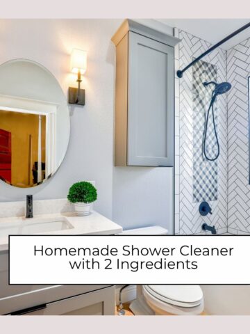 homemade shower cleaner