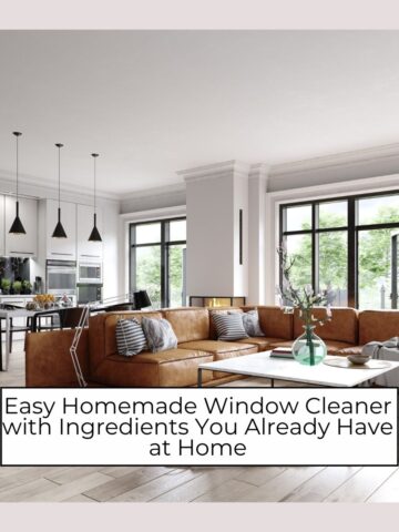 homemade window cleaner using ingredients you already have at home