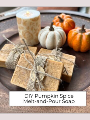 Pumpkin Spice Melt and Pour Soap