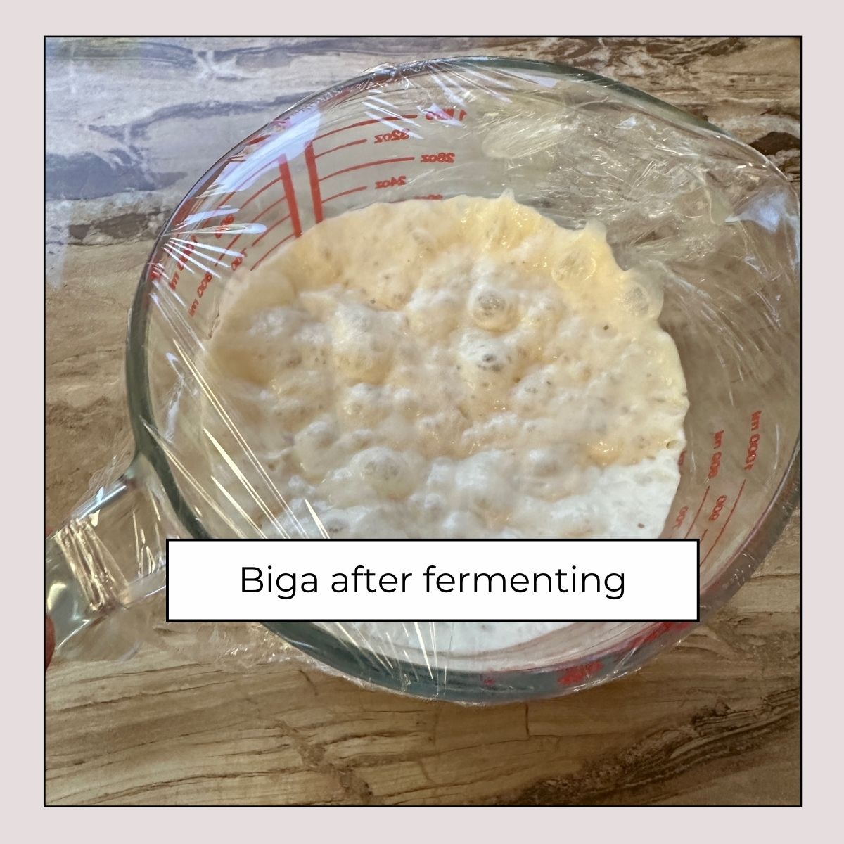 biga after fermenting