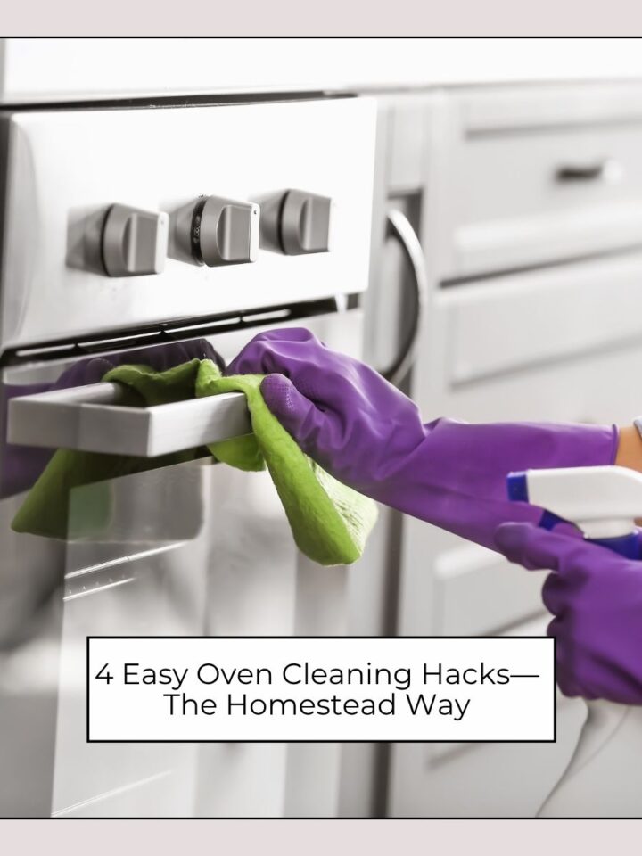 How To Clean Your Room Fast : Daily Cleaning Routine Checklist