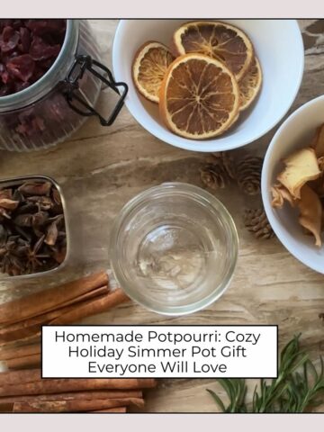 Homemade Potpourri Cozy Holiday Simmer Pot Gift Everyone Will Love