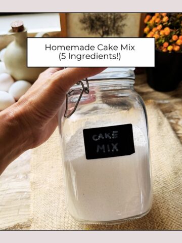 Easy Homemade Cake Mix (Only 5 Ingredients!)
