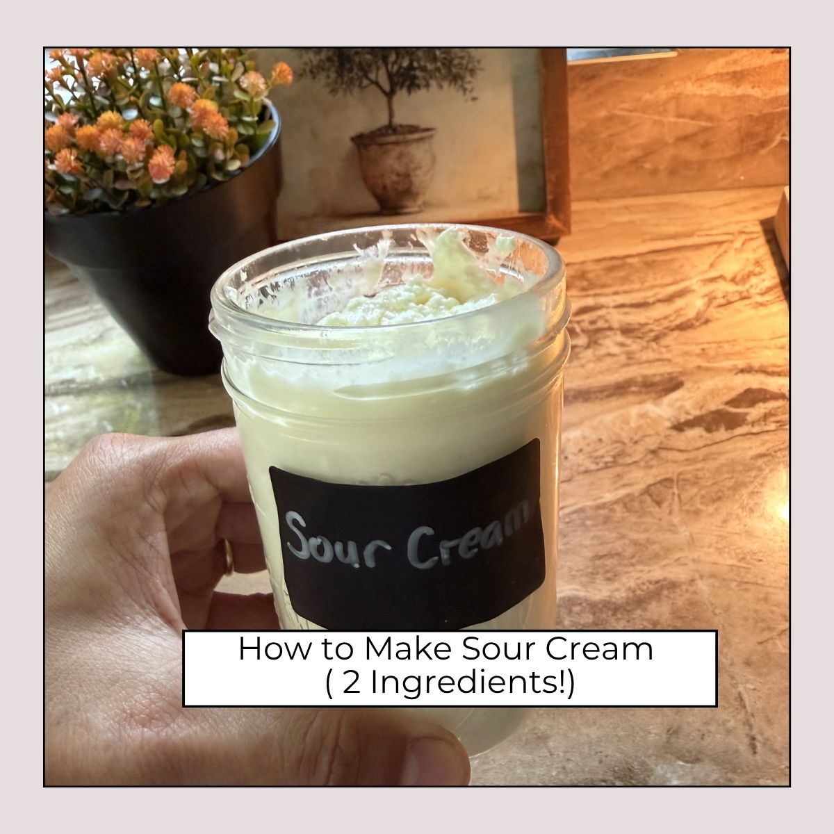 how to make sour cream