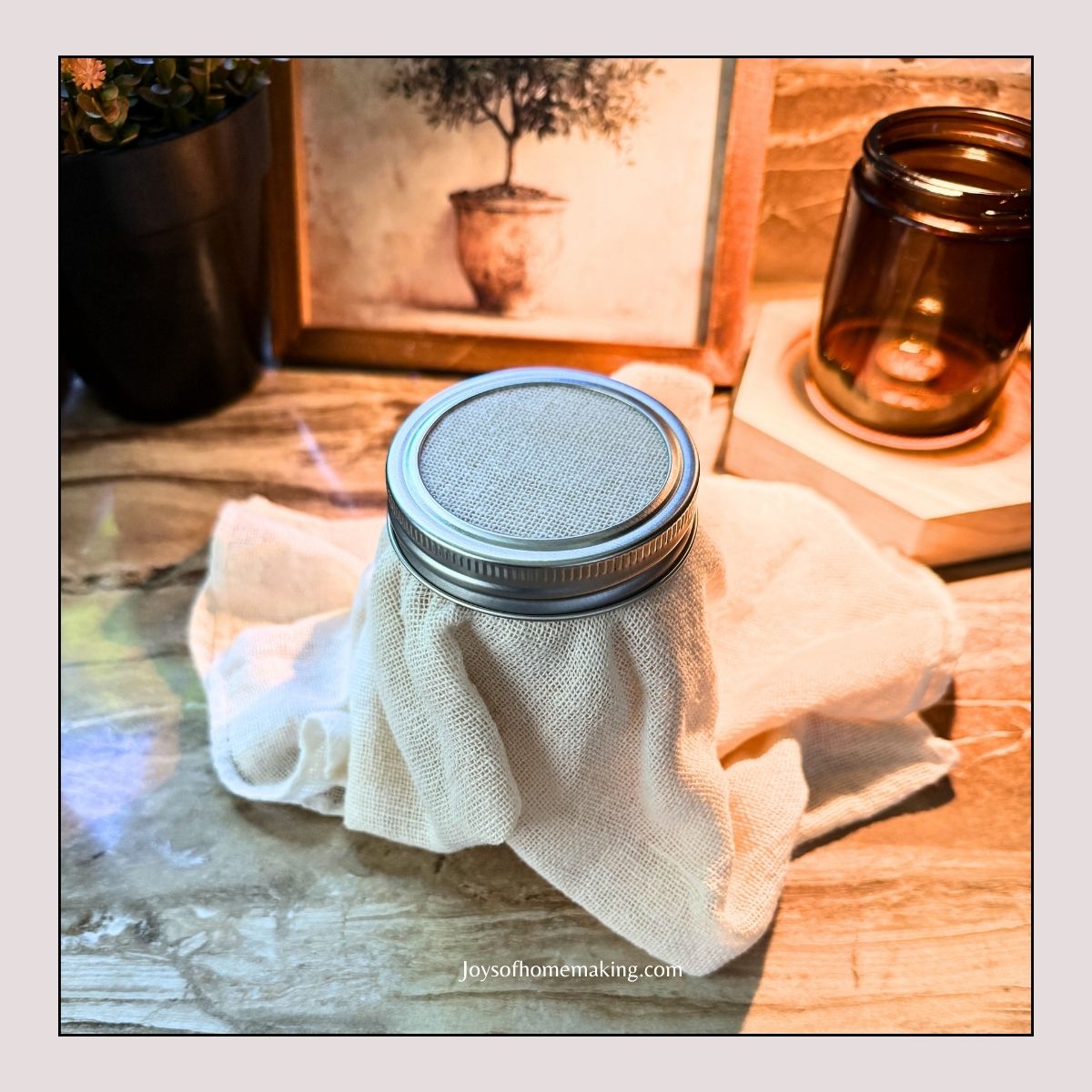 sour cream in a jar covered with a cheese cloth to ferment