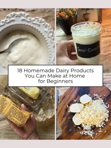 Homemade Dairy Products You can Make at Home for Beginners