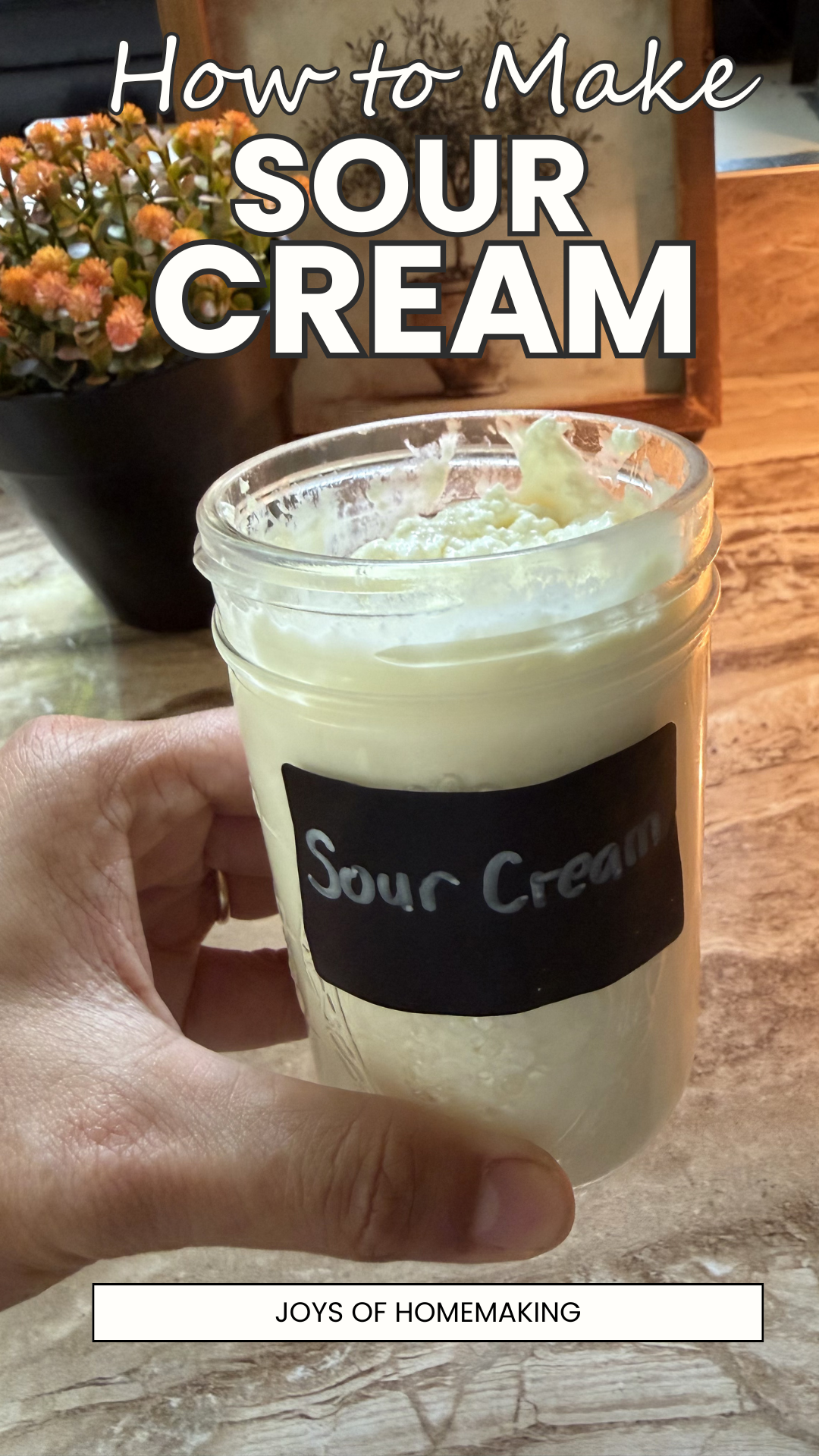 picture of sour cream -homemade dairy product
