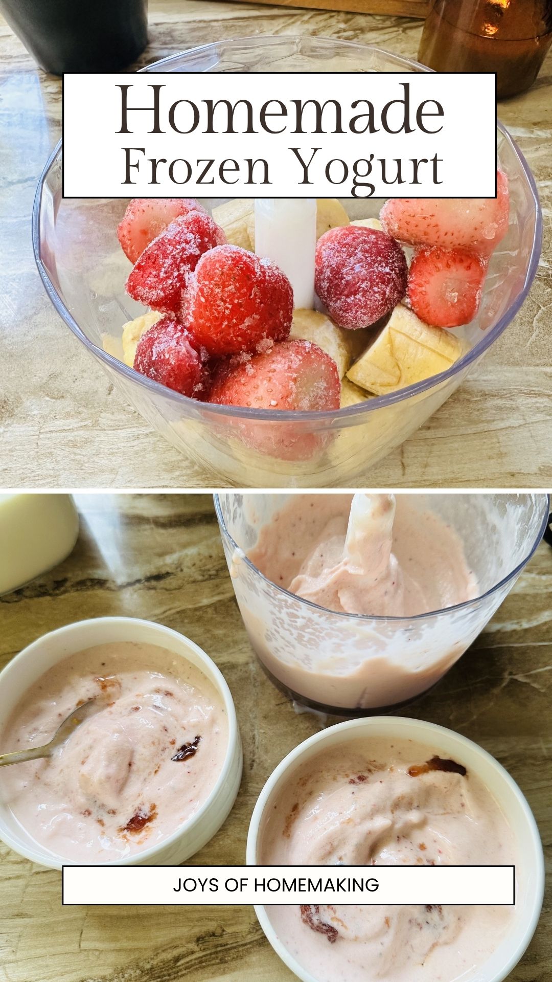 picture of homemade frozen yogurt - homemade dairy