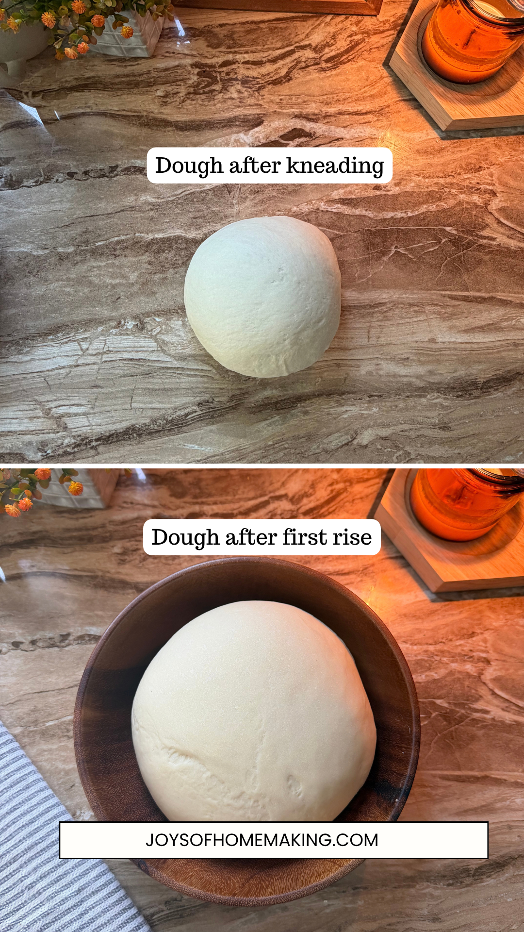 Bagel dough after kneading and after first rise.